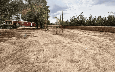 770 San Ysidro Rd, # A, Las Cruces, NM 88007
